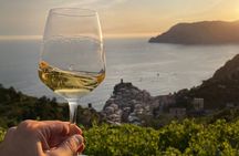 Heroic : Vineyard Trekking & Authentic Wine Tasting in Vernazza