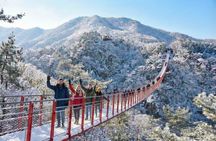 DMZ: Explore 3rd Tunnel & Nature Walk on Suspension Bridge