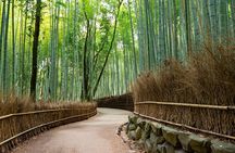 Nara Park and Fushimi Inari Exclusive Day Trip