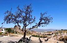 Cappadocia Budget Friendly Green Tour