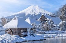 Mt. Fuji Private Day Trip from Tokyo with English-Speaking Driver
