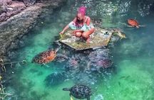 Zanzibar Salaam Cave Swimming and Feeding Sea Turtle in Kizimkazi