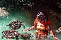 Zanzibar Salaam Cave Swimming and Feeding Sea Turtle in Kizimkazi
