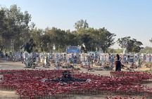 Gaza Border and Nova Festival Memorial Small Group Tour 