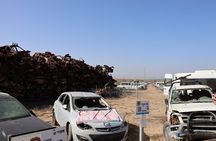 Gaza Border and Nova Festival Memorial Small Group Tour 