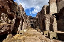 Colosseum Underground and Arena Exclusive Private Tour