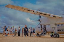 1 Day Mikumi Fly In Safari From Zanzibar to the Heart of the Wild