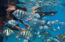 Private Catamaran with crew lunch drinks music and snorkeling