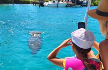 Narrated Boat Tour - Palm Beach Celebrity Homes and Local History