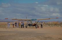 1 Day Mikumi Fly In Safari From Zanzibar to the Heart of the Wild