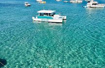 Peanut Island Sandbar and Swim Tour 