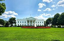 Half Day Washington DC Monuments and Landmarks Small Group Tour