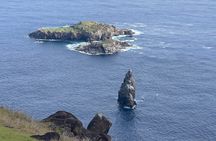 Noon The Legend of the Birdman