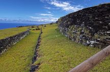 Noon The Legend of the Birdman