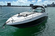 37 Ft Yacht Yacht for 2 or 4 hours, Bluetooth, In the Miami Bay