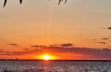 Craft Beer and Wine Sunset Cruise in Palm Beach