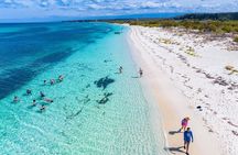 Bay of Eagles VIP : Full Day to Paradise From Santo Domingo