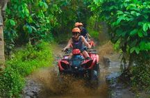 Bali Shore Excursions From Celukan Bawang Cruise Port Day Tour