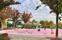 Half Day Bike Tour in Shanghai along East Bank of Huangpu River