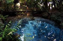 Mitai Maori Village,Waiotapu Thermal Wonderland& Redwood Treewalk