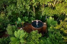 Nature at its best Lake Tarawera Treetop Walk and Forest Spas