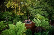 Tauranga Shore Exc: Nature's Best: Lakes, Forests, Falls and Spas