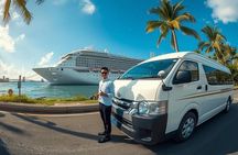 Bali Cruise Shore Excursion: Private Custom Tour