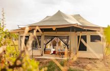 Latest Updates On The Top Best 3 day Serengeti Migration Safari