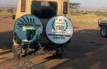  Discover Our Best 4 Day Serengeti Migration Safari From Mwanza