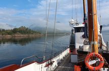 Tromsø Luxury Summer Fjord Cruise with Lunch