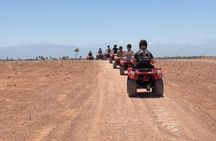 Quad and Camel Ride in Marrakech Desert 