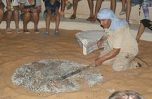 Ksar Ghilane Excursion with Overnight Tent 