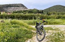 Self Guided Bike Tour from Lucca to Montecarlo Wine Roads