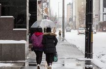 Sapporo Private Walking Tour with a Local