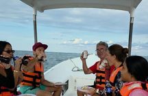 Local Ceviche Snorkeling Adventure in Puerto Morelos