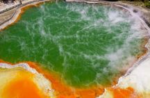 Wai O Tapu Thermal Wonderland with Forest Walk or Forest Spa