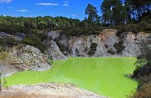 Wai O Tapu Thermal Wonderland with Forest Walk or Forest Spa