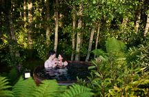 Nature at its best Lake Tarawera Treetop Walk and Forest Spas