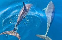 2h Express Adventure by JET SKI in Raiatea - Sacred Island