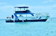 Catalina Experience Tour