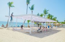 Catalina Experience Tour