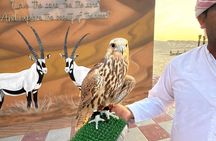 Abu Dhabi Desert Safari BBQ Dinner Camel Ride and Live Shows