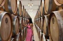 Lake Sevan & Dilijan Guided Day Trip with Ijevan Wine Tour