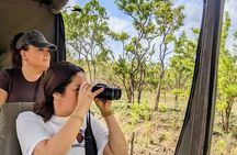 Mikumi Wonderful Safari with Open Jeeps