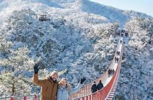 Signature DMZ Tour: Exclusive NK Defector Talk +Suspension Bridge