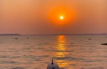 Kochi: Kumarakom Day Trip with Shikara Cruise & more