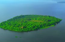 Kochi: Kumarakom Day Trip with Shikara Cruise & more