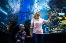 Side Aquarium and Fun Park Tour All Inclusive with Hotel Pickup