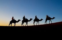 Marrakech: Agafay Desert Quad biking tour with dinner Show 