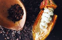 Mayan Chocolate Making & Waterfall Tour from Placencia